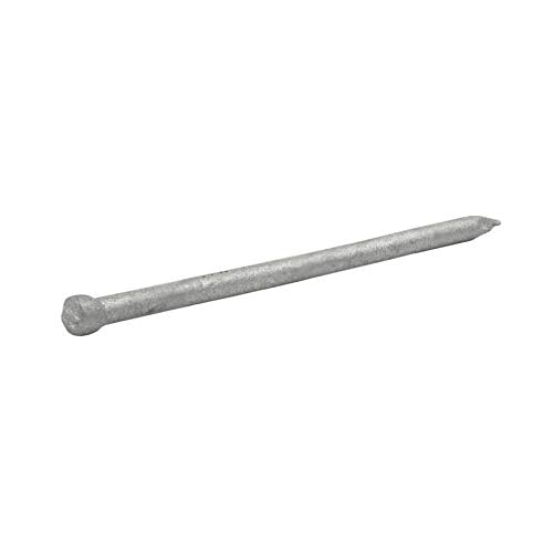 Grip-Rite 2-in 13-Gauge Hot-Dipped Galvanized Steel Finish Nails (6-oz)