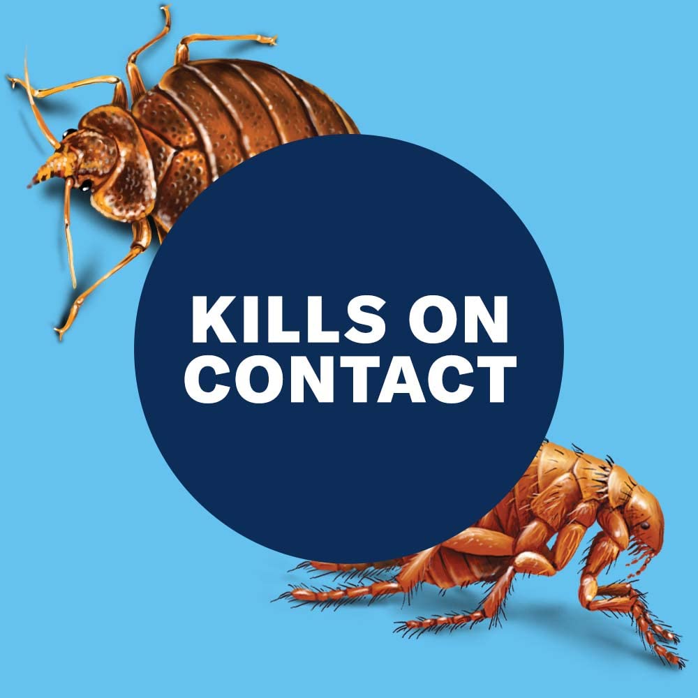 BioAdvanced Home Pest Bed Bug & Flea Killer, Continuous Spray I, 15.7oz